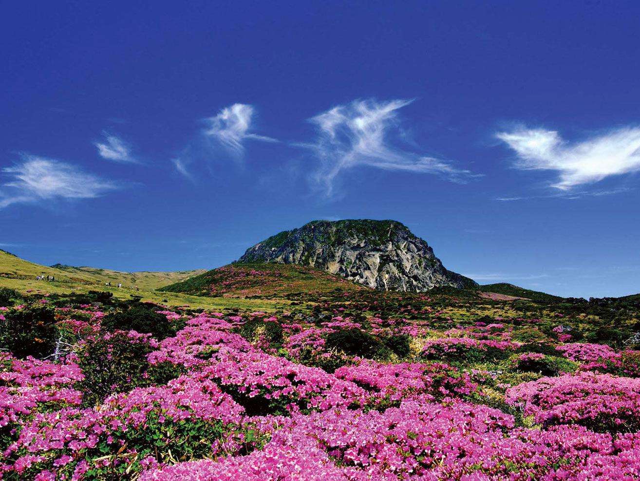 5fc8acd0bf77c.jpg 汉拿山.jpg