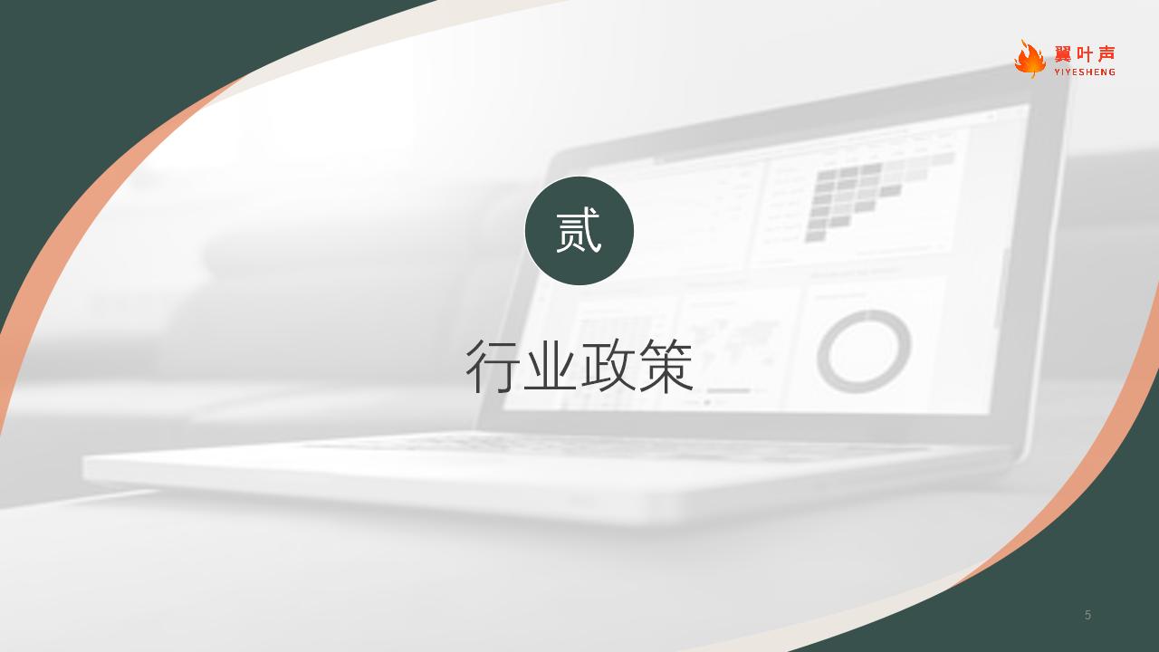 2021中国保健品行业洞察（looper)_05.jpg
